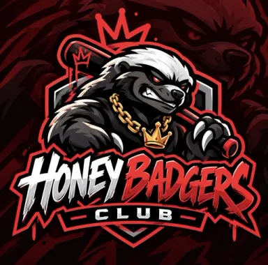Badgers logo