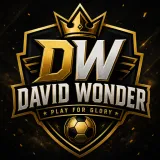 David Wonder logo