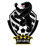Neon Stars FC logo