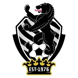 Neon Stars FC logo