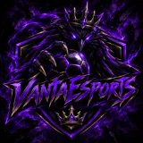 VANTAESPORTS logo