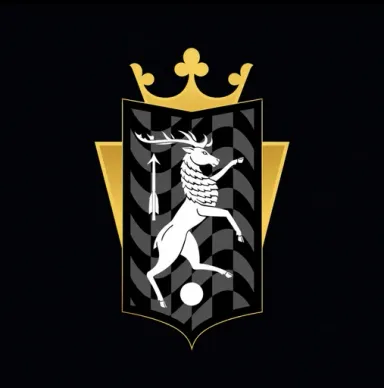 black dragon fc logo