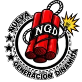NGD logo